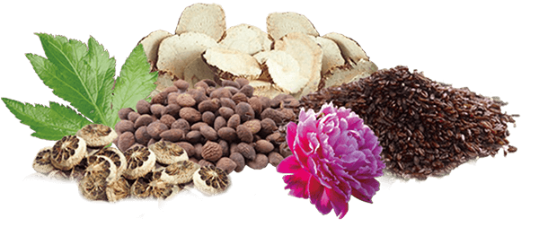 chinese herbs