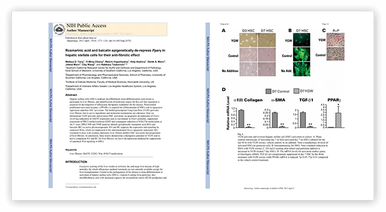 pro-liver pills research2